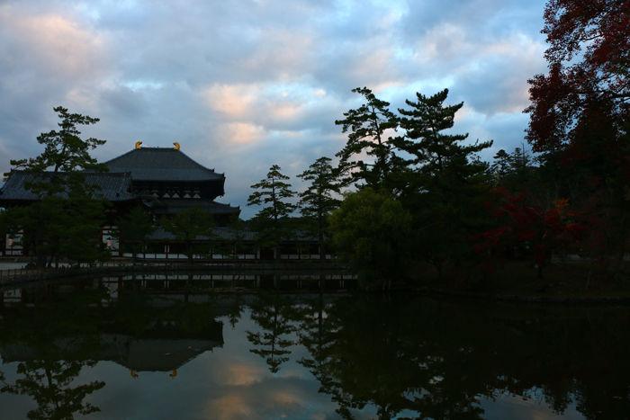 奈良・奈良市・奈良公園20141104-2