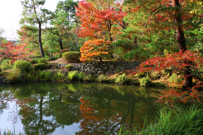 京都・北区・等持院20151121-12