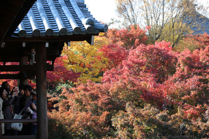京都・東山区・臨済宗大本山東福寺20131121-2-7