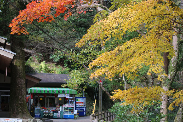 大阪・箕面市・箕面の滝20131120-2-8