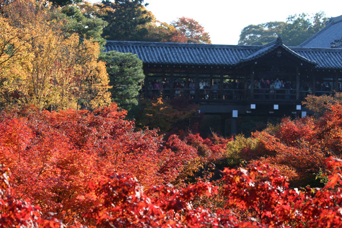 京都・東山区・臨済宗大本山東福寺20131121-1-1