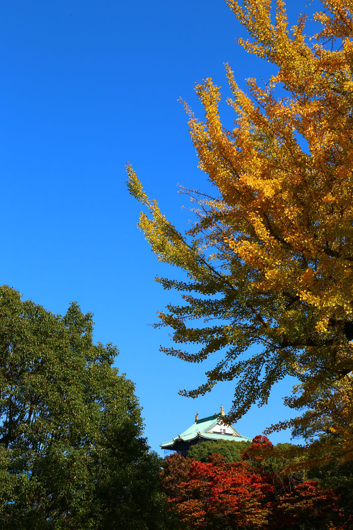 大阪・中央区・大阪城界隈20151104-7
