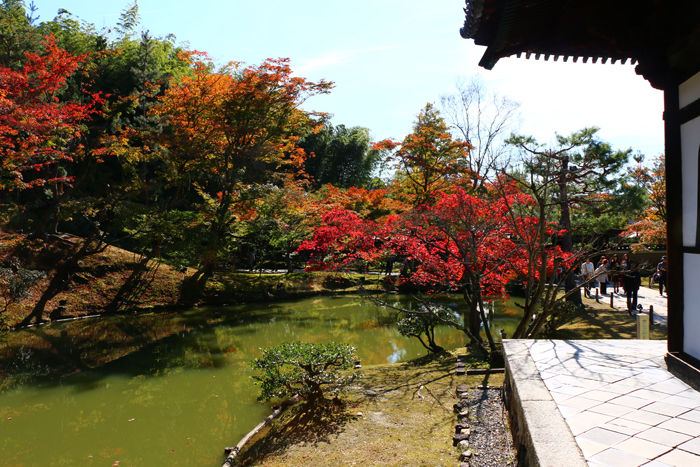 京都・東山区・高台寺20151116-5
