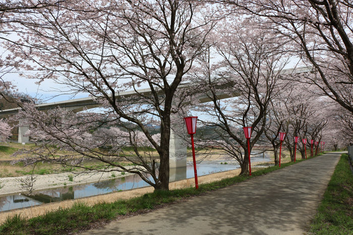 兵庫・朝来市・和田山町市御堂地区20160406-1