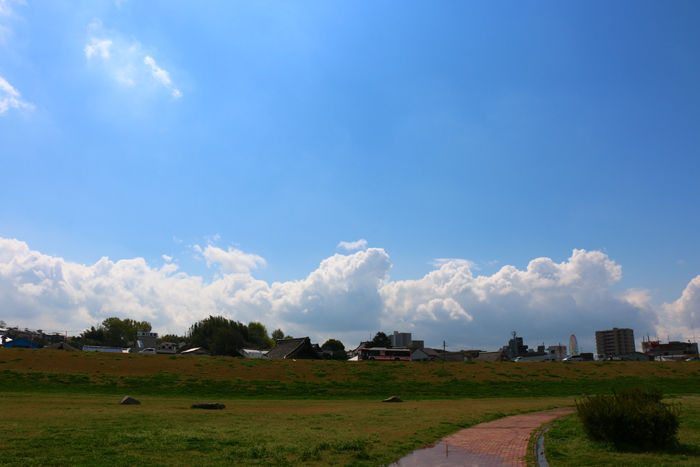 大阪・枚方市・淀川河川公園枚方地区20150415-3