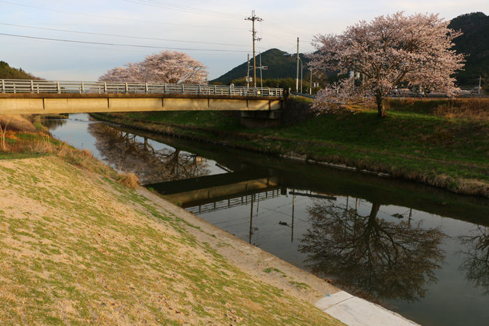 京都・南丹市・若森橋20160406-2