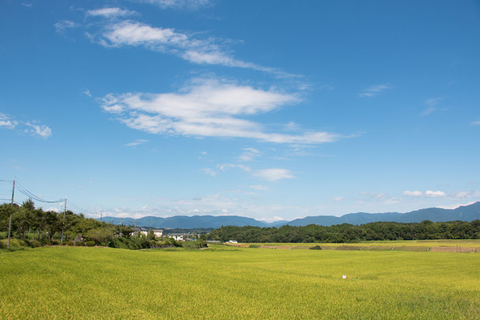 滋賀・蒲生郡日野町・大字別所地区20160823-1