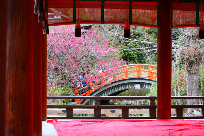 京都・左京区・下鴨神社20140303-11