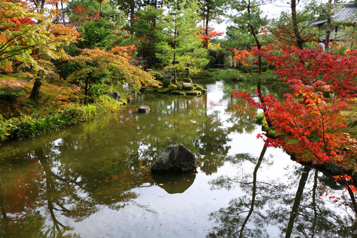 京都・北区・等持院20151121-8
