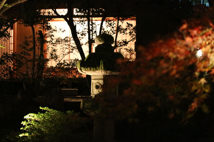 京都・東山区・天台宗青蓮院門跡20131123-2