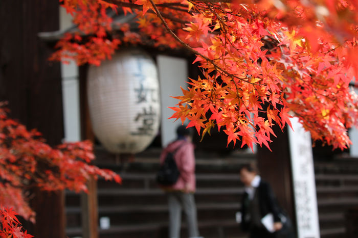 京都・左京区・真正極楽寺【真如堂】20131121-1-4