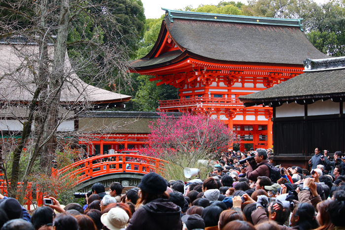 京都・左京区・下鴨神社20140303-2