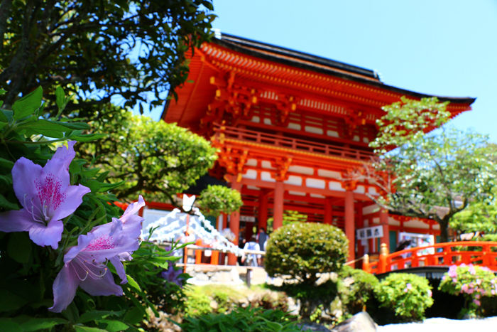 京都・北区・賀茂別雷神社(上賀茂神社)20160512-7