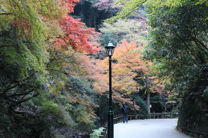 大阪・箕面市・箕面の滝20131120-1-8