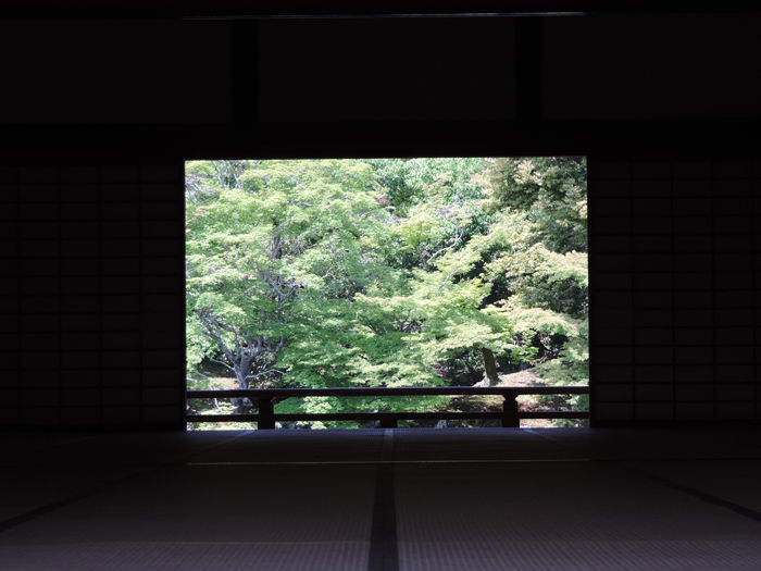 京都世界遺産天龍寺6