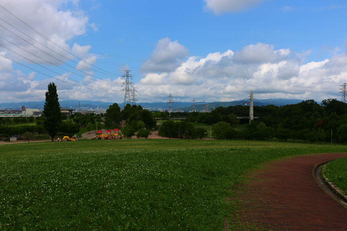 大阪・枚方市・山田池公園20150621-1