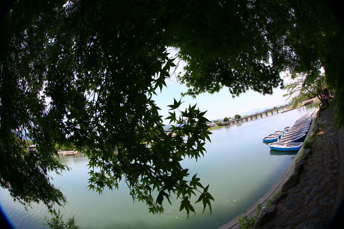 京都・右京区・【魚眼風景】渡月橋界隈20150527-4