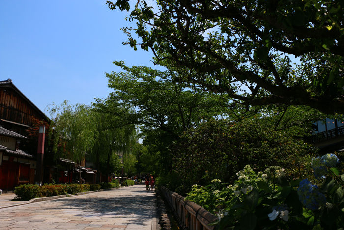 京都・東山区・祇園白川20150527-1