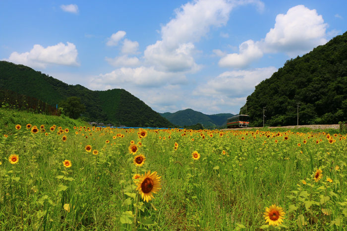 兵庫・佐用郡佐用町・宝蔵寺地区20160721-4