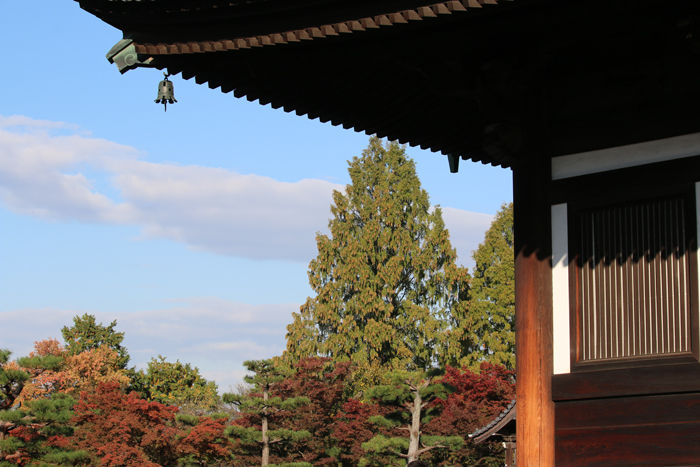 京都・東山区・臨済宗大本山東福寺20131121-1-9