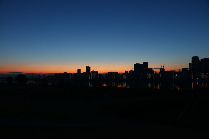 大阪・淀川区・淀川河川公園十三野草地区20160116-3