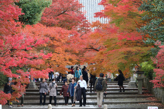 京都・左京区・真正極楽寺【真如堂】20131121-1-2