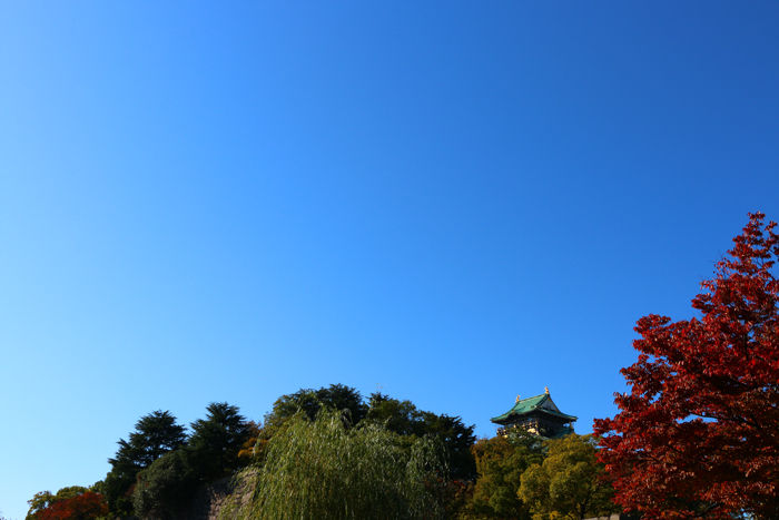大阪・中央区・大阪城界隈20151104-3