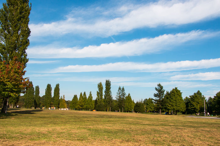 大阪・枚方市・山田池公園20161015-6