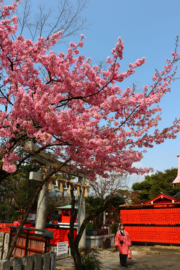 京都・右京区・車折神社20160308-7