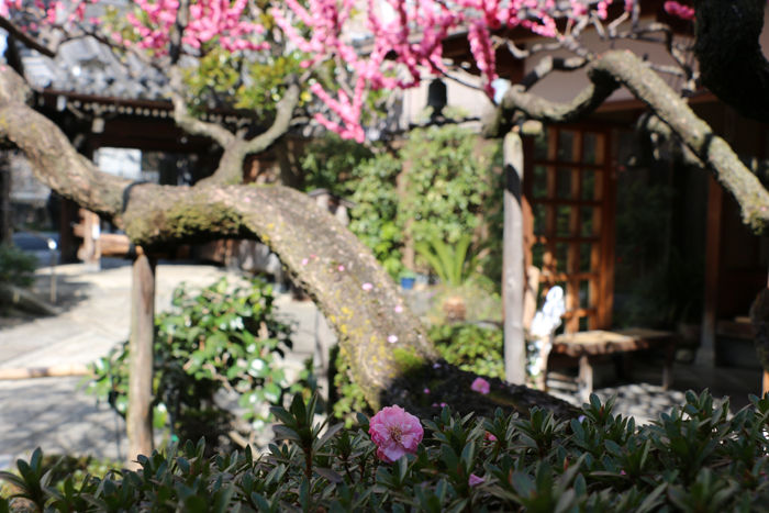 京都・中京区・瑞泉寺20160317-4