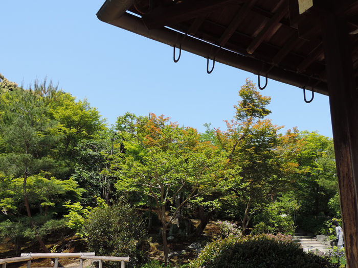 京都世界遺産天龍寺12
