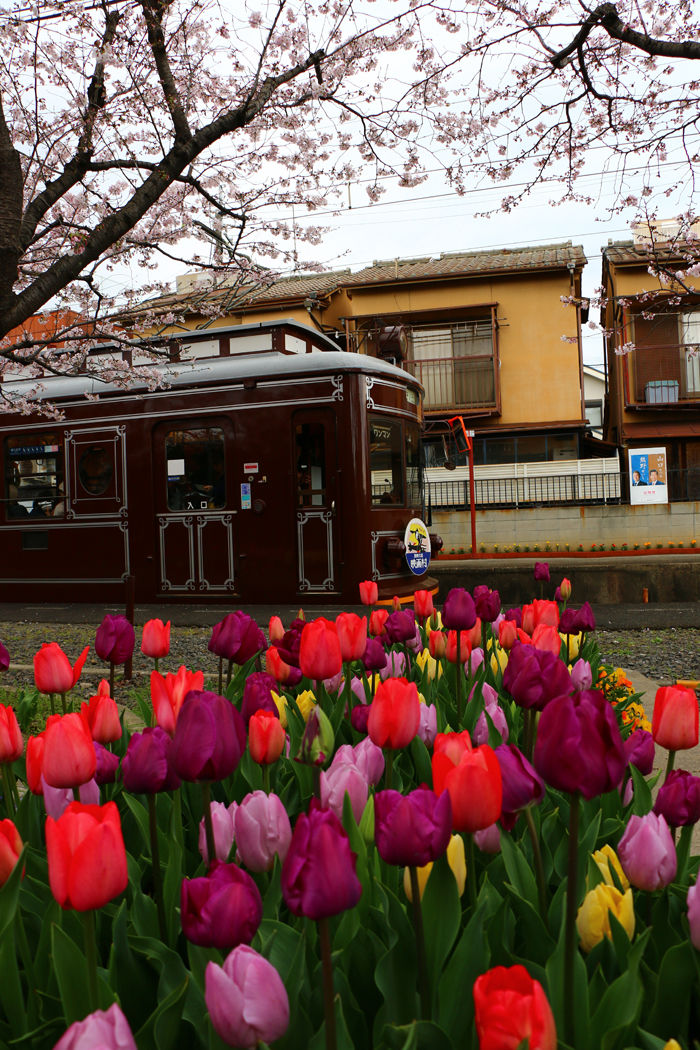 京都・右京区・嵐電北野線龍安寺駅20160402-3