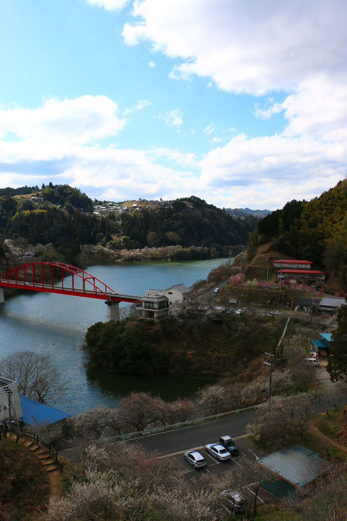 奈良・奈良市・月ケ瀬梅渓20160311-3