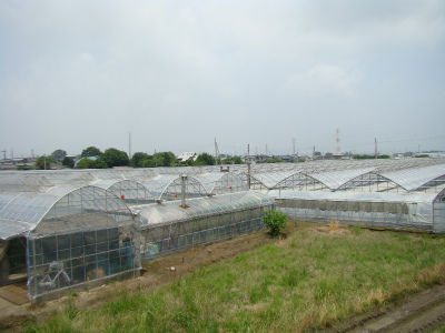 DSC04037