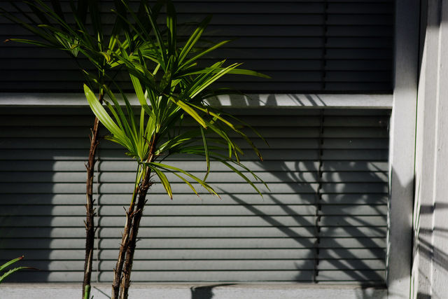 2010 12 17_K-5_0174-1