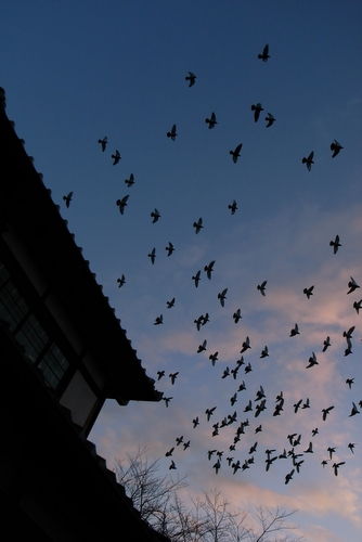 2011 12 19_GRD2_0015
