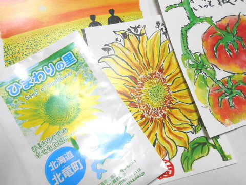 里・はがき