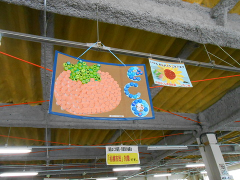DSCN1762