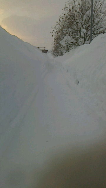 2012012011250000.jpg