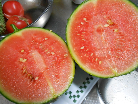 DSCN1101