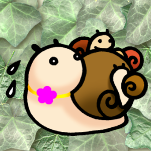 豆ゴーカタツムリ名前募集1