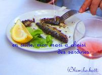 ������C)kimiko.botti