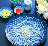 fugusashi-blog_kimiko.botti