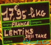 origine(C)kimiko.botti