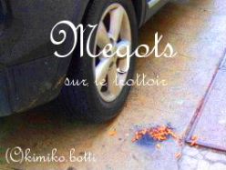 megot(C)kimiko.botti