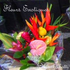 fleursexotiques(C)kimiko.botti