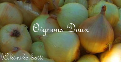 oignons(C)kimiko.botti