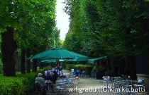 wifigratuit��C)kimiko.botti