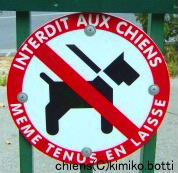 chiens(C)kimiko.botti