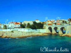 chemin��C)kimiko.botti